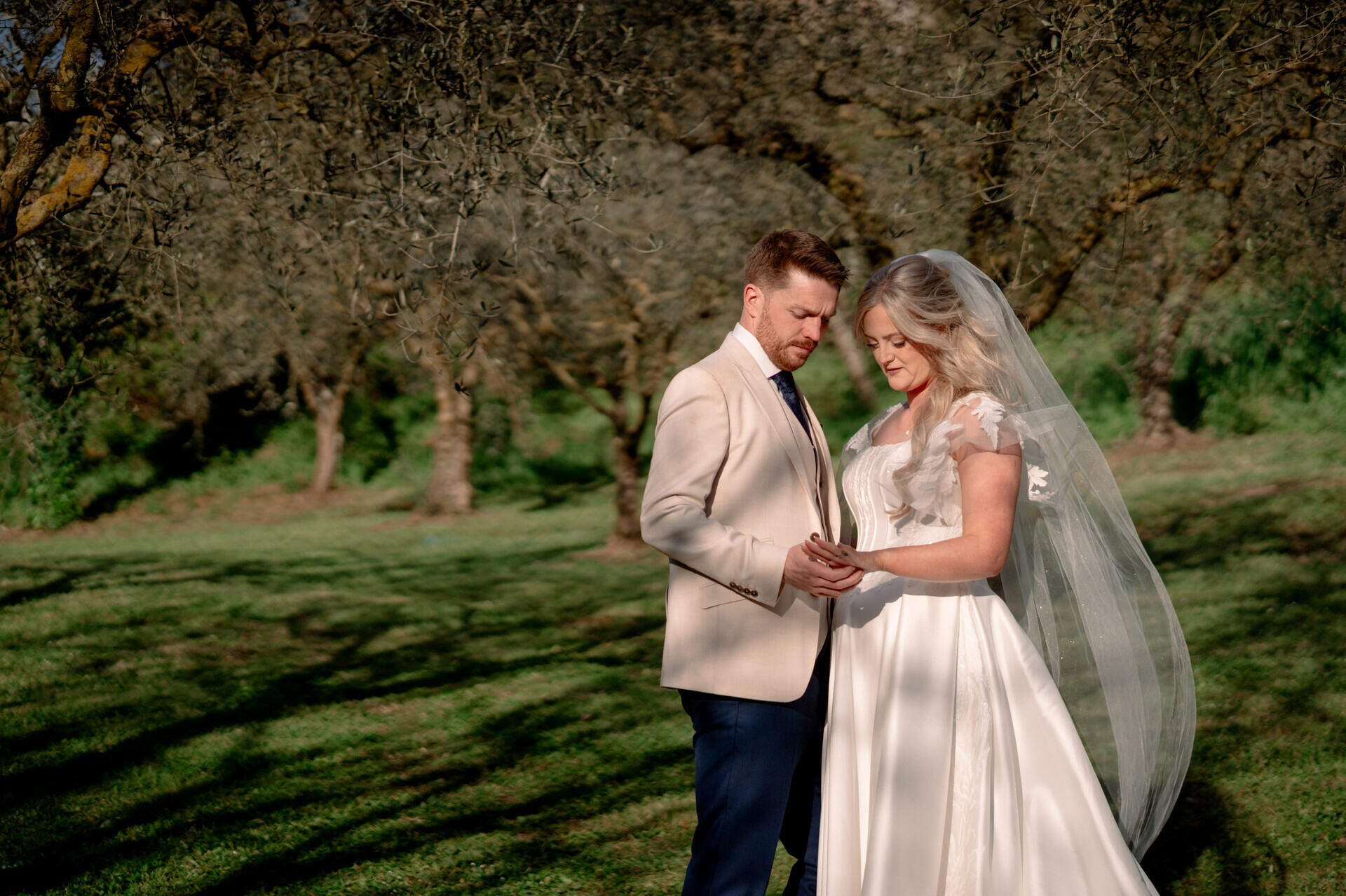 The couple hold hands among olive trees; the bride wears a white dress and veil, the groom a pale jacket.